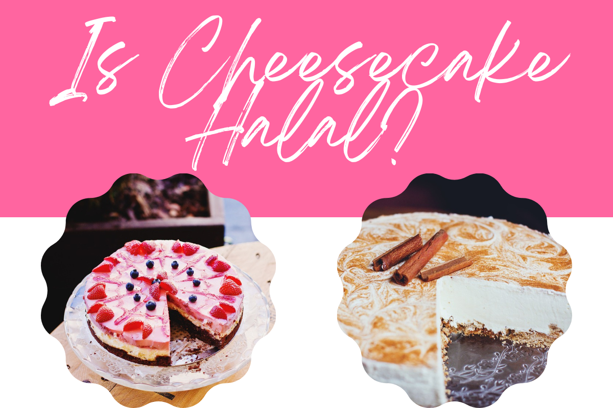 Is Cheesecake Halal