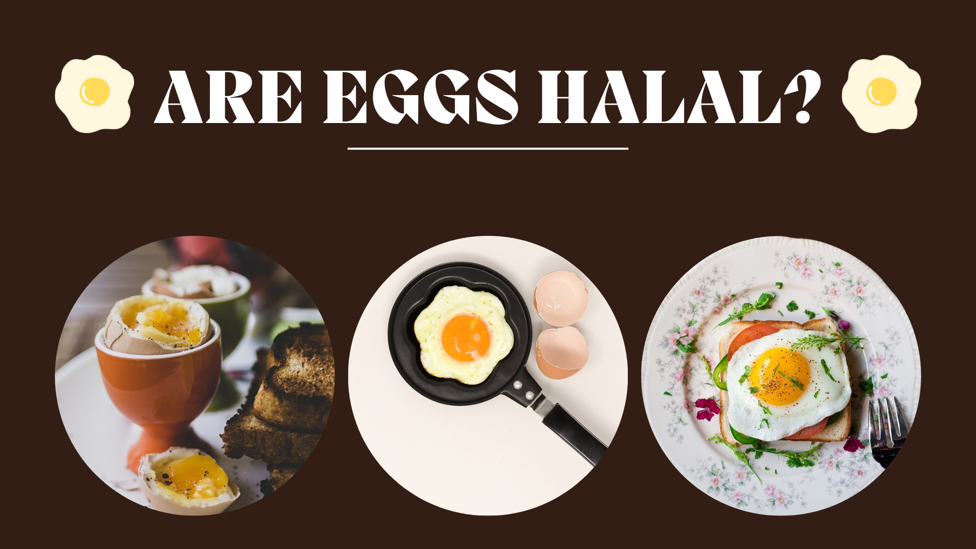 Are Eggs Halal