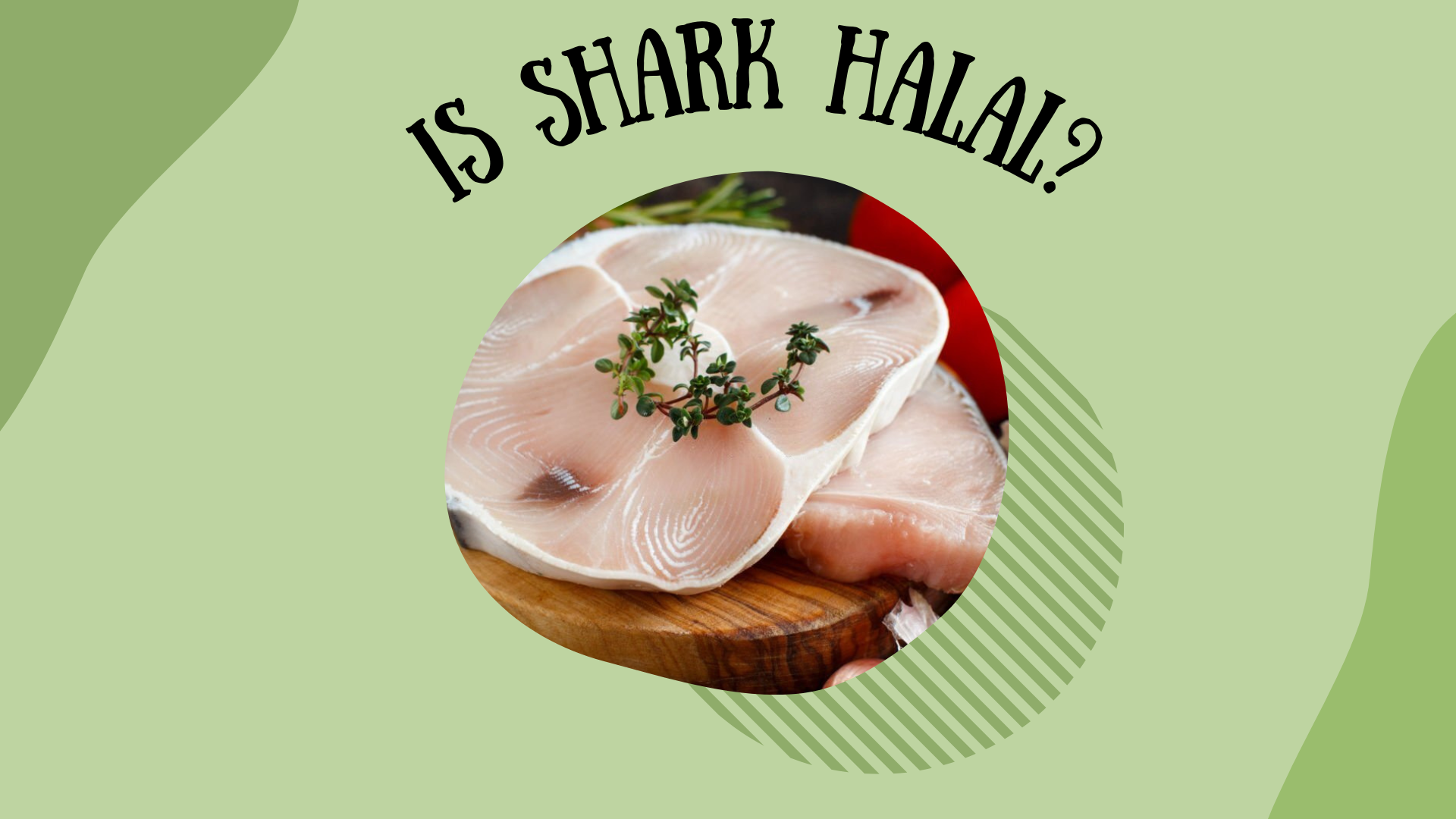 is shark halal