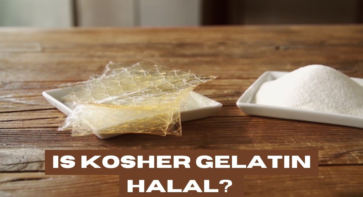 Is Kosher Gelatin Halal