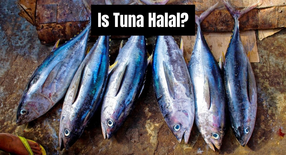 Is Tuna Halal
