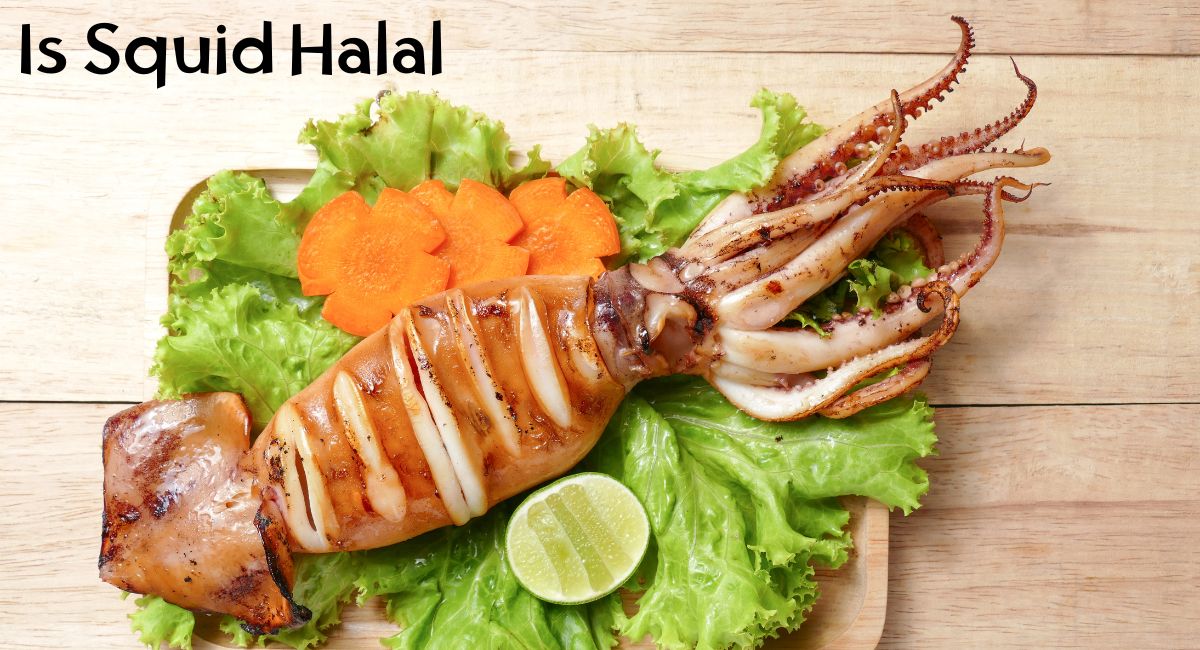 Is Squid Halal