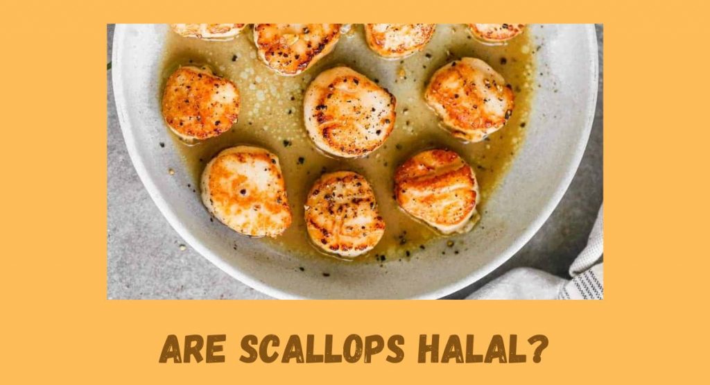 Are Scallops Halal?
