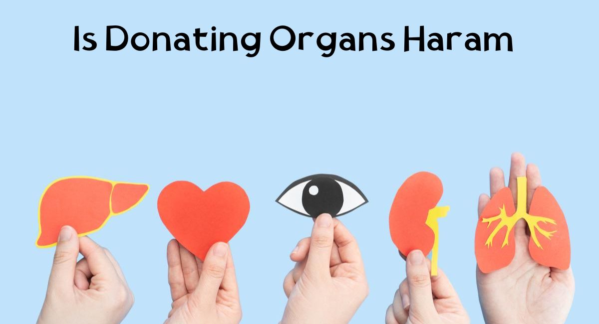 Is Donating Organs Haram