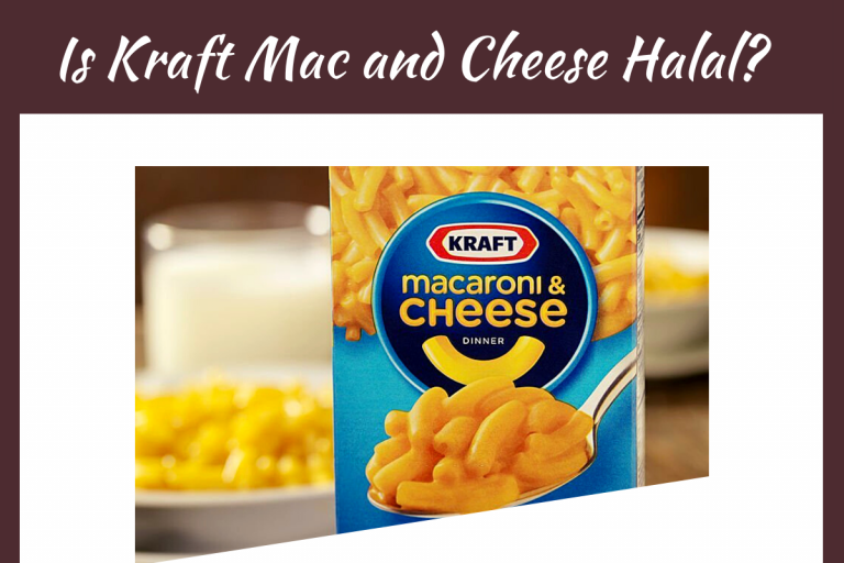 is-kraft-mac-and-cheese-halal-or-haram