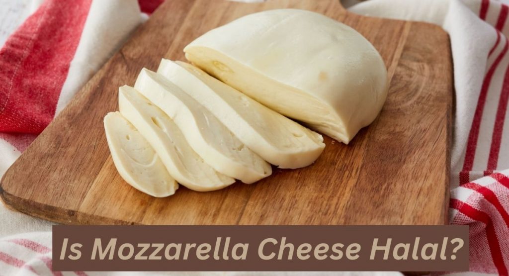 Is Mozzarella Cheese Halal?