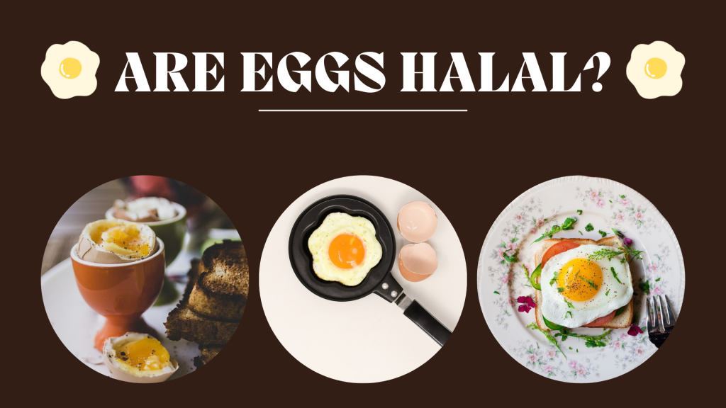 Are Eggs Halal? Quick Facts