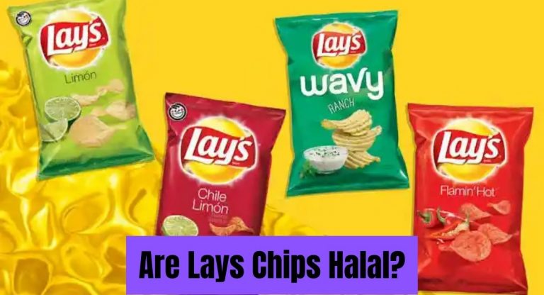 Are Lays Chips Halal? Quick Facts 2024 - HalalHaramWorld