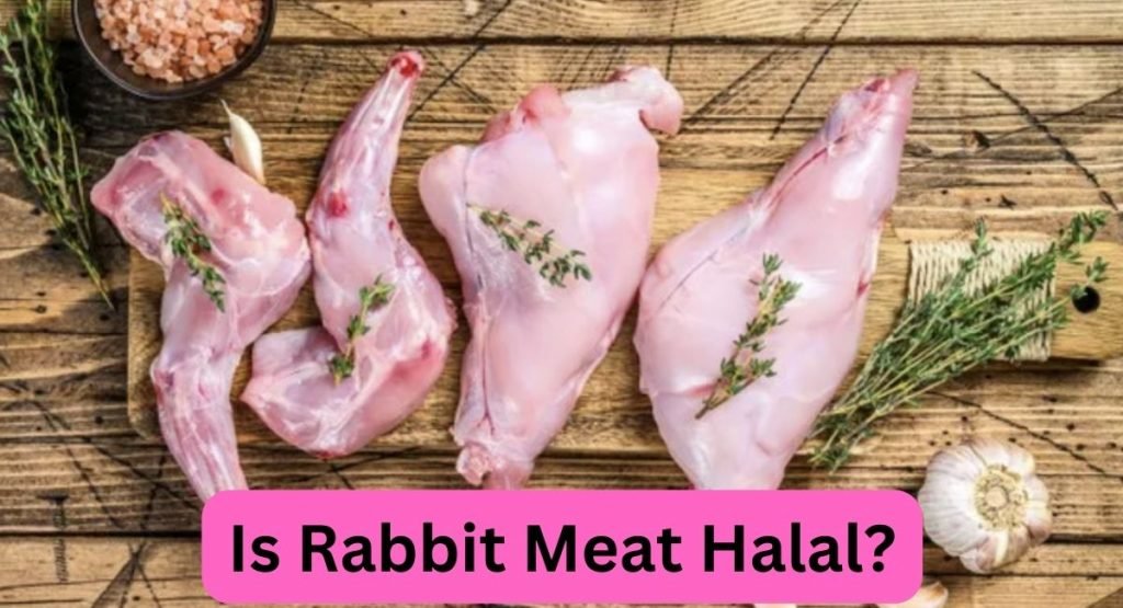 Is Rabbit Meat Halal 