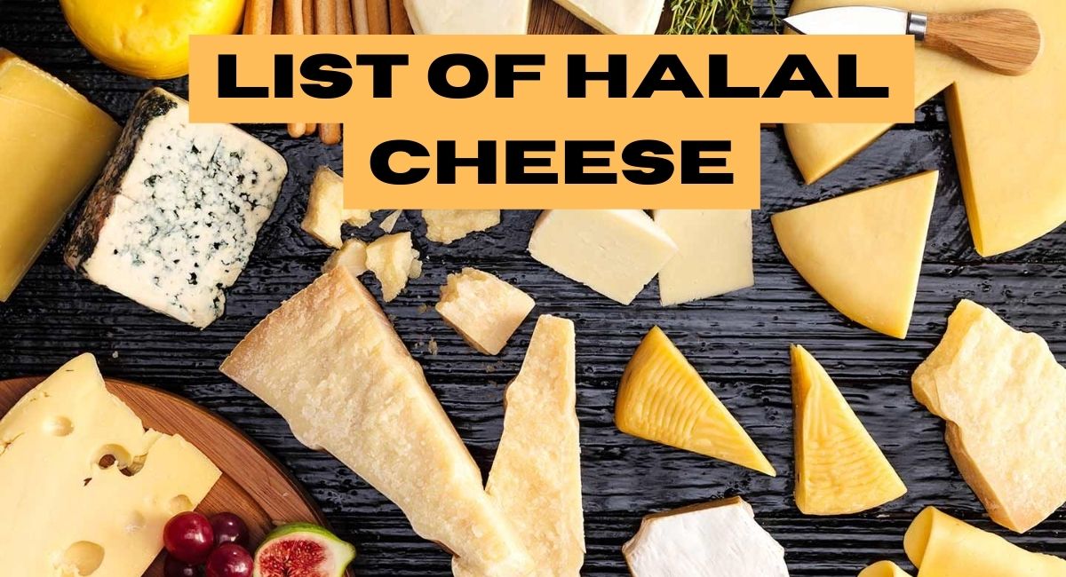 different-types-of-cheese-everything-you-need-to-know-46-off