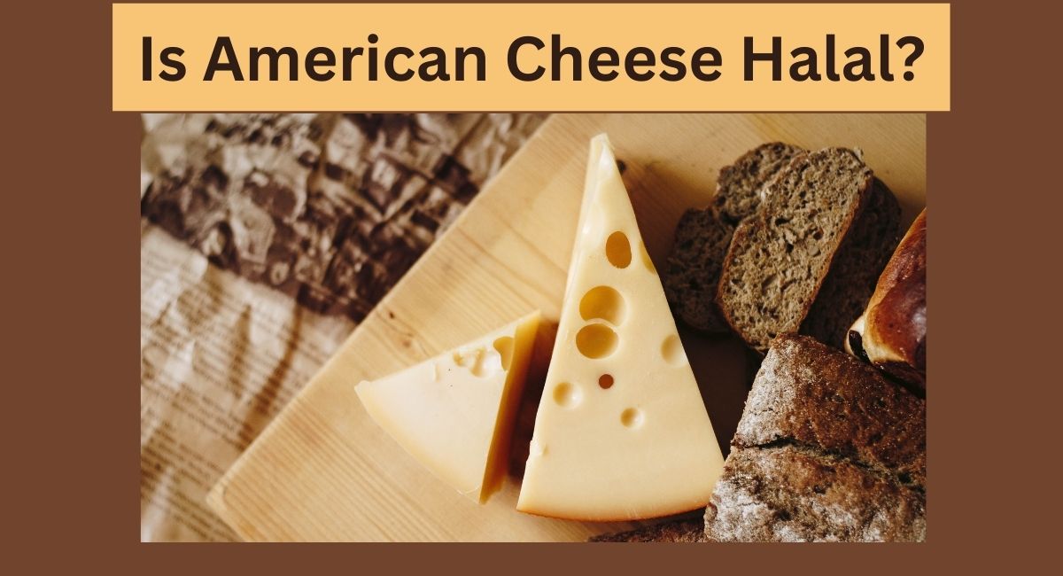 is american cheese halal