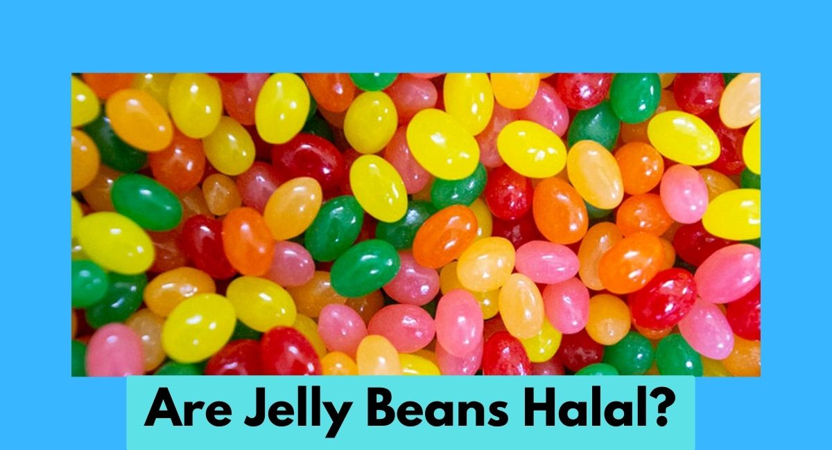 Are Jelly Beans Halal