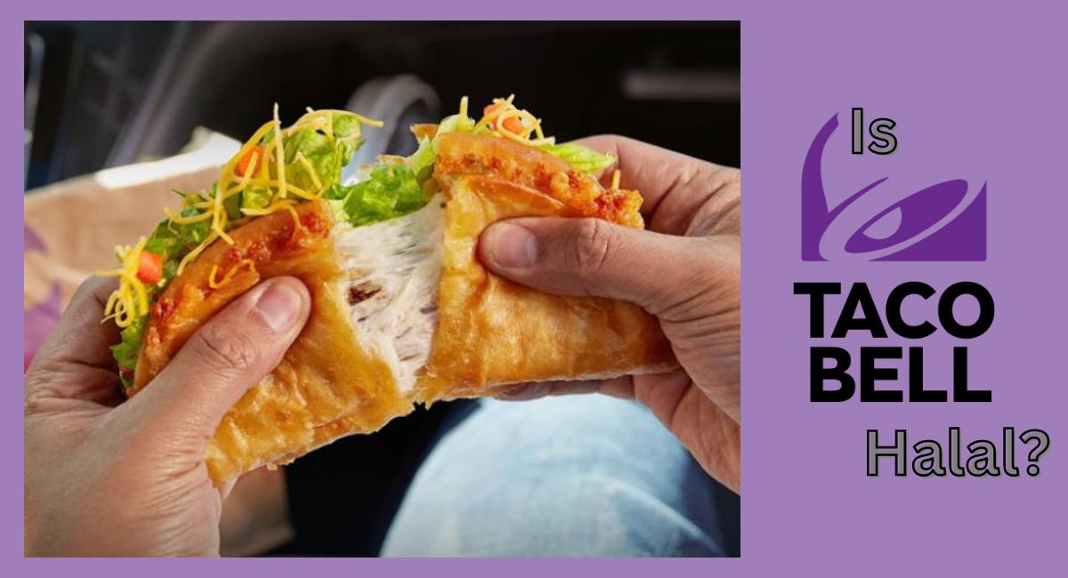 Is Taco Bell Halal Halal Status In India UK And The US 2024 2024