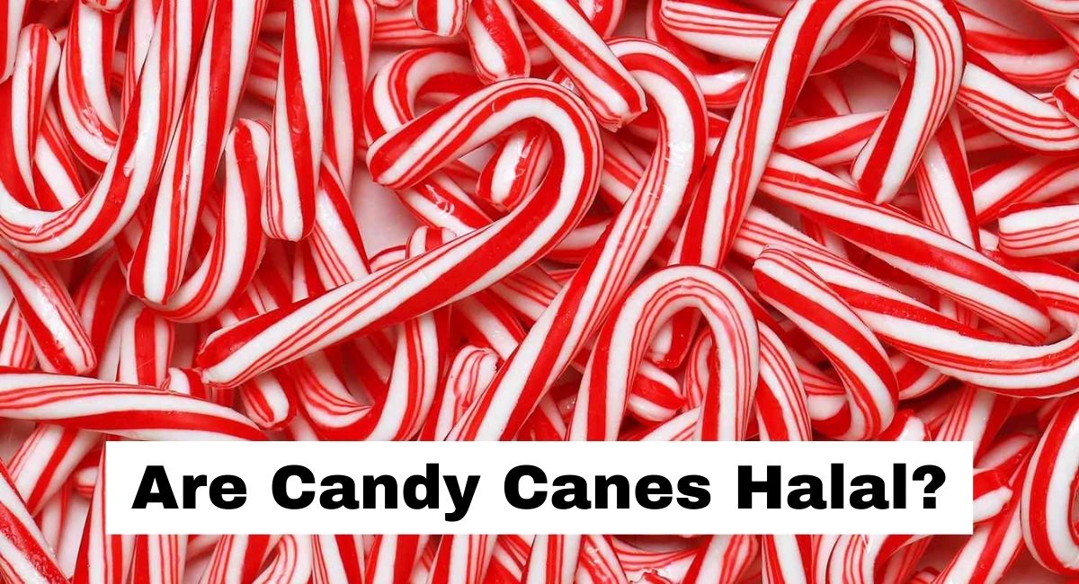 are candy canes halal