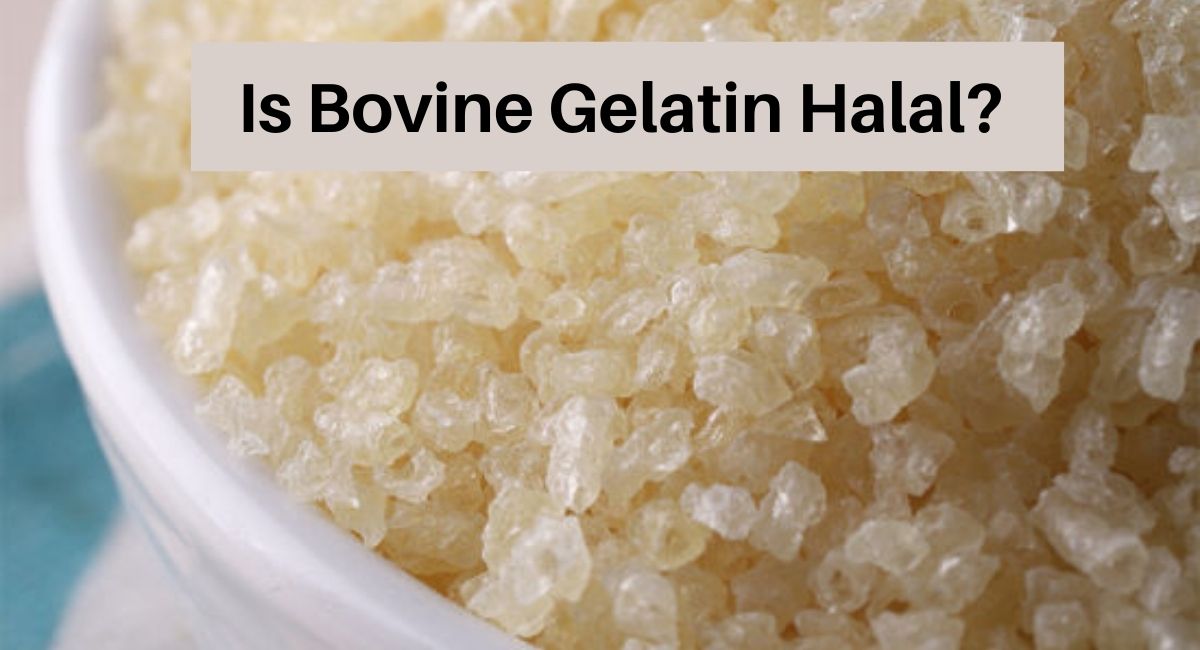 Is Bovine Gelatin Halal?