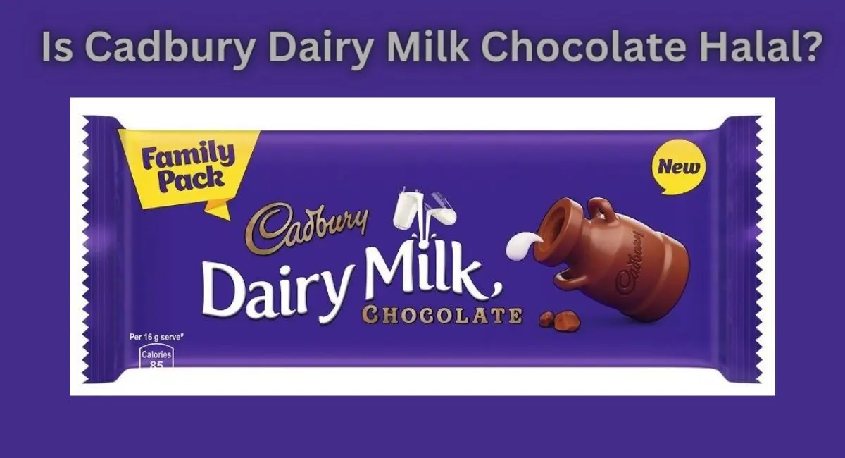 Cadbury Dairy Milk Ice Cream Tub 460ml is not halal