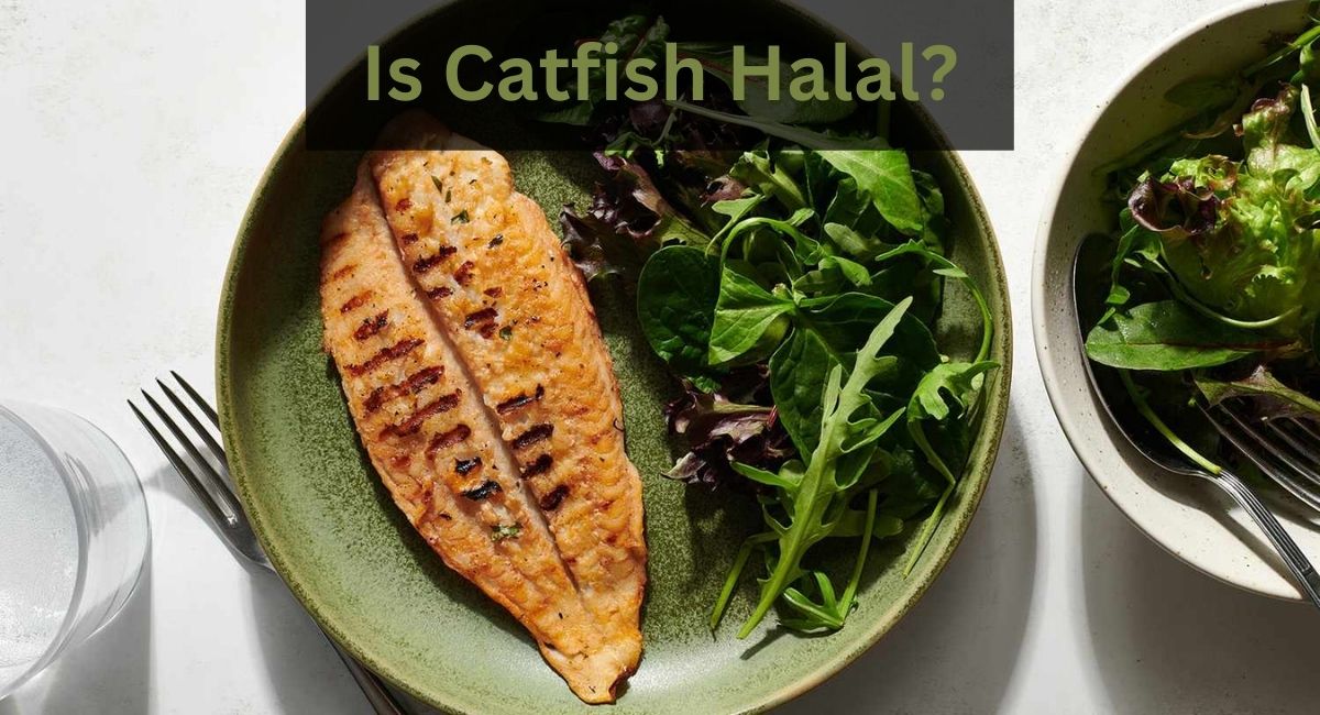 Is Catfish Halal