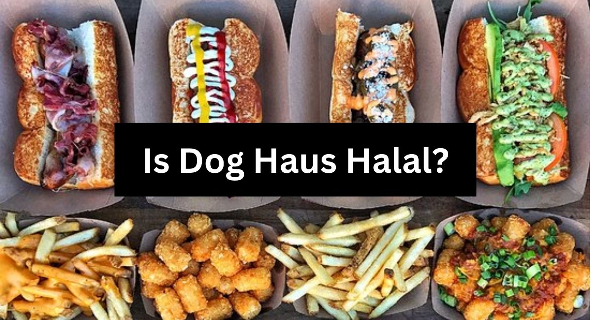 Is Dog Haus Halal