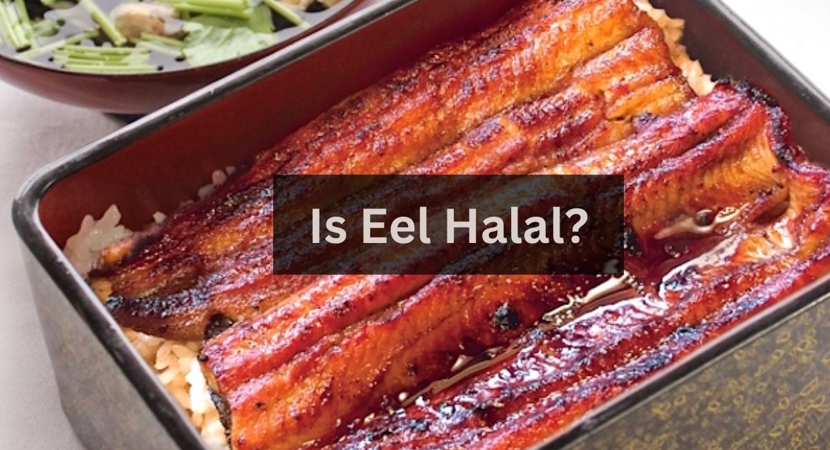 Is Eel Halal