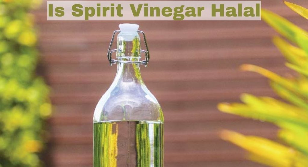 Is Spirit Vinegar Halal Or Haram?