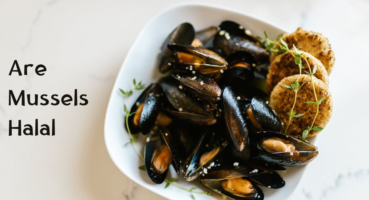 Are Mussels Halal