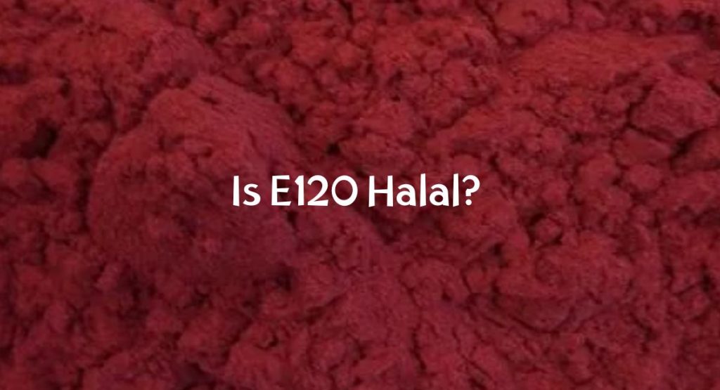 is-e120-halal