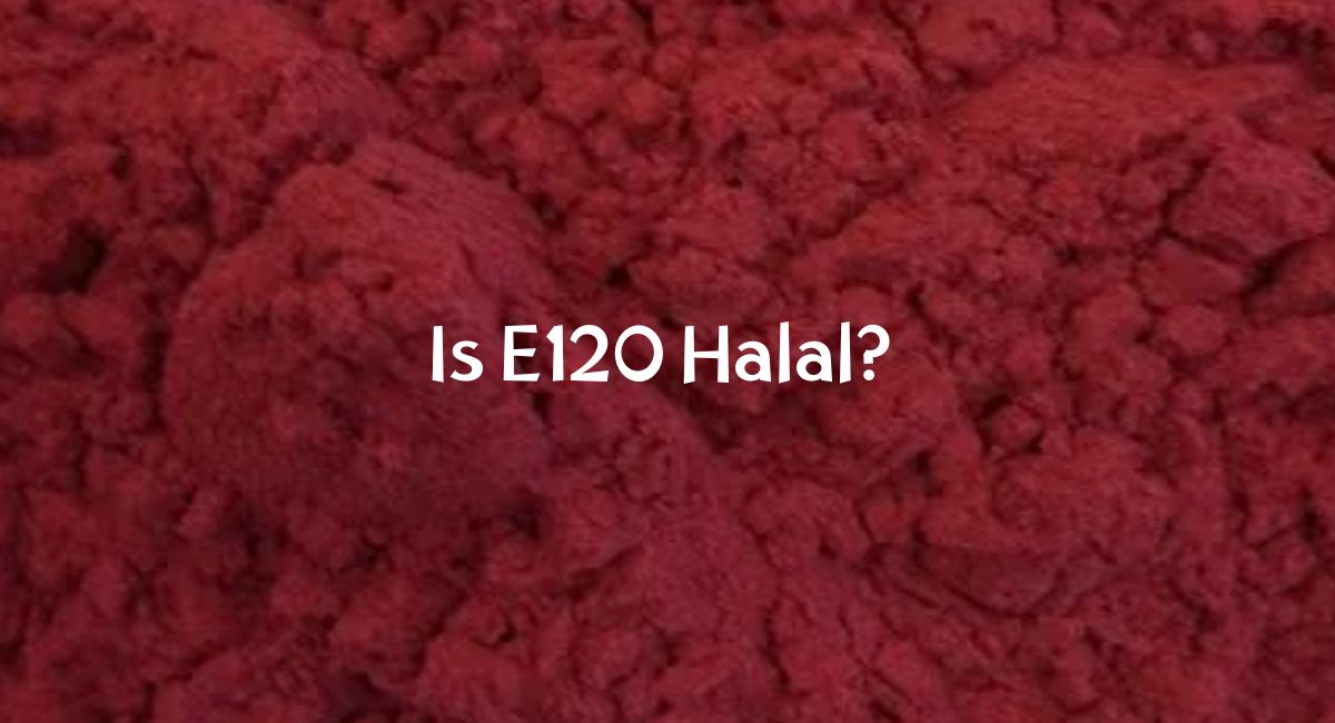 Is E120 Halal
