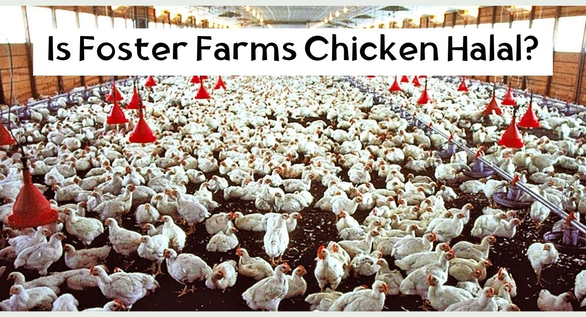 Is Foster Farms Chicken Halal