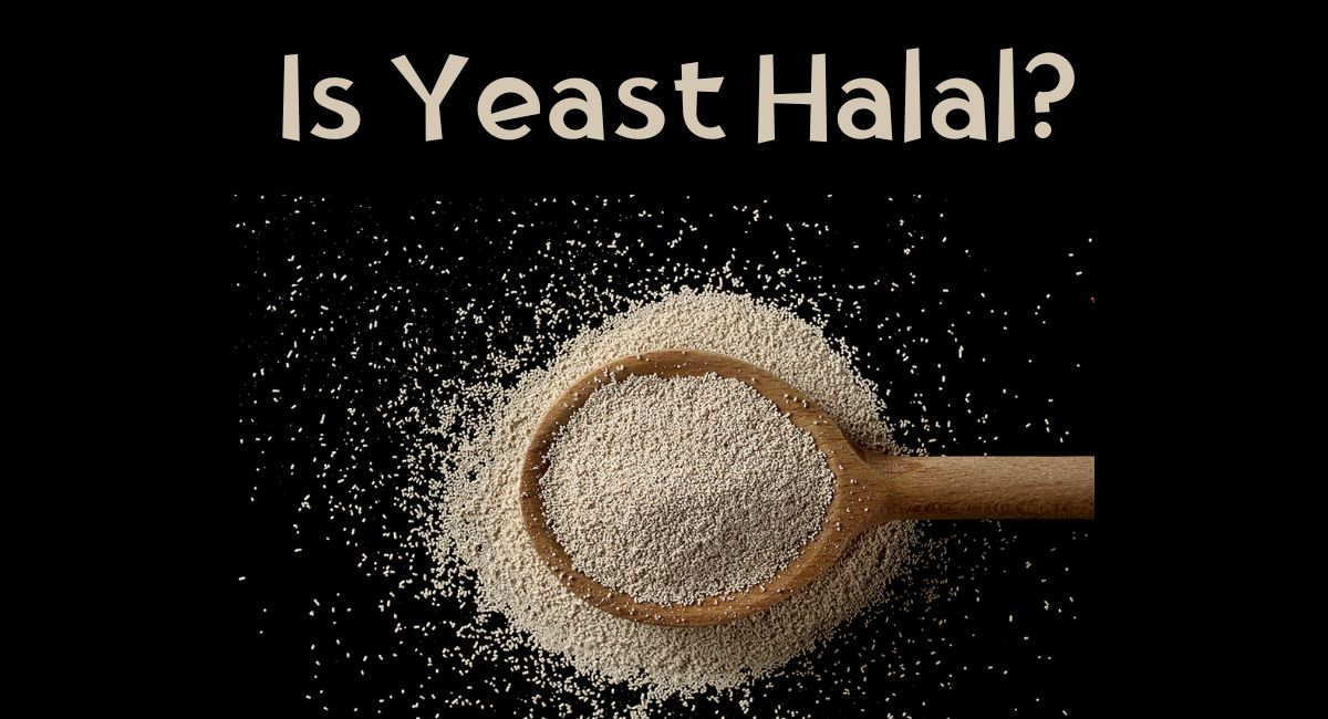 Is Yeast Halal