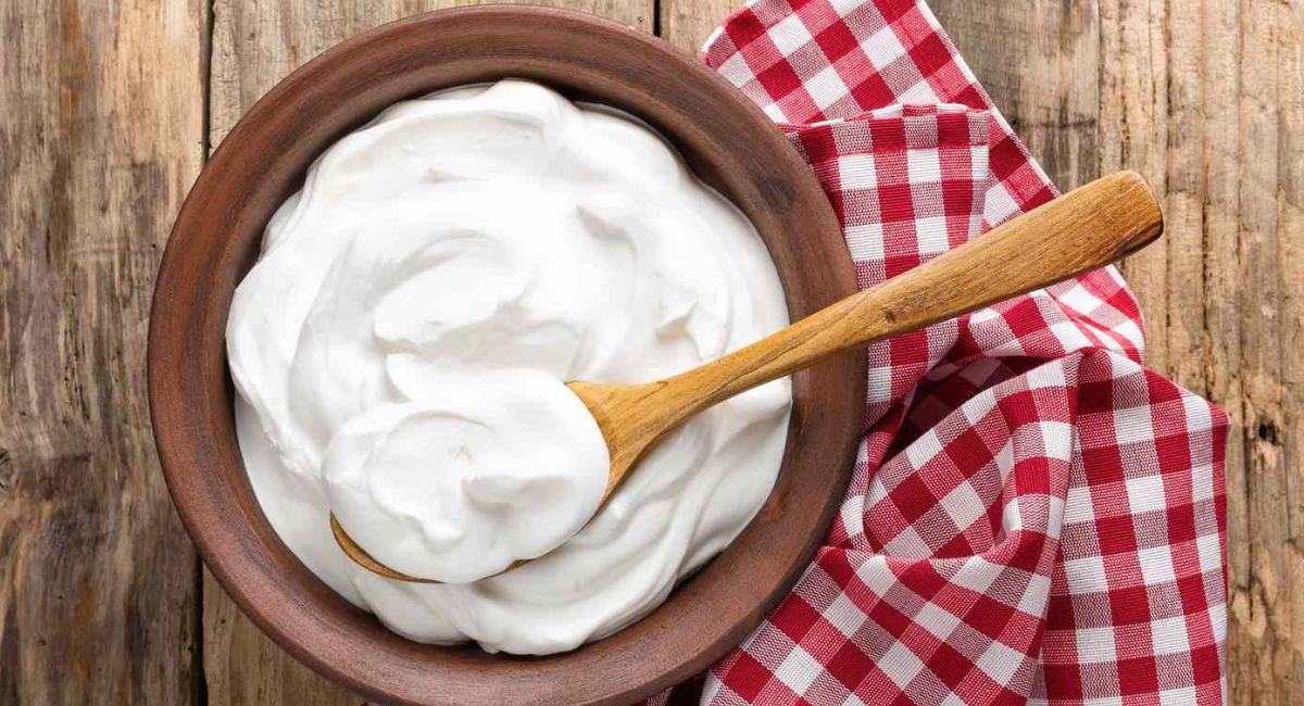 Is Yogurt Halal Or Haram?