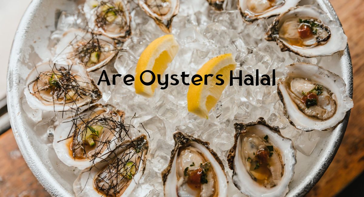 Are Oysters Halal