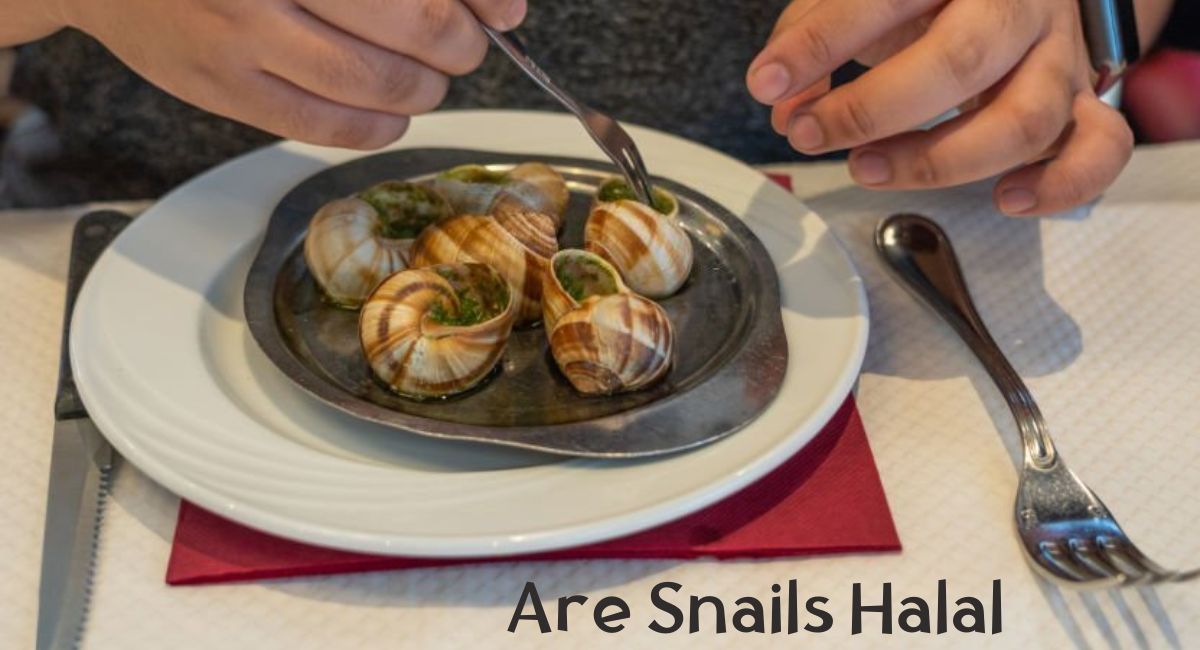 Are Snails Halal