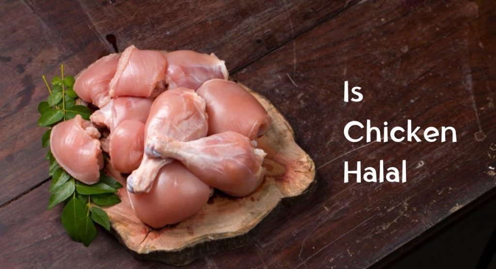 is-chicken-halal