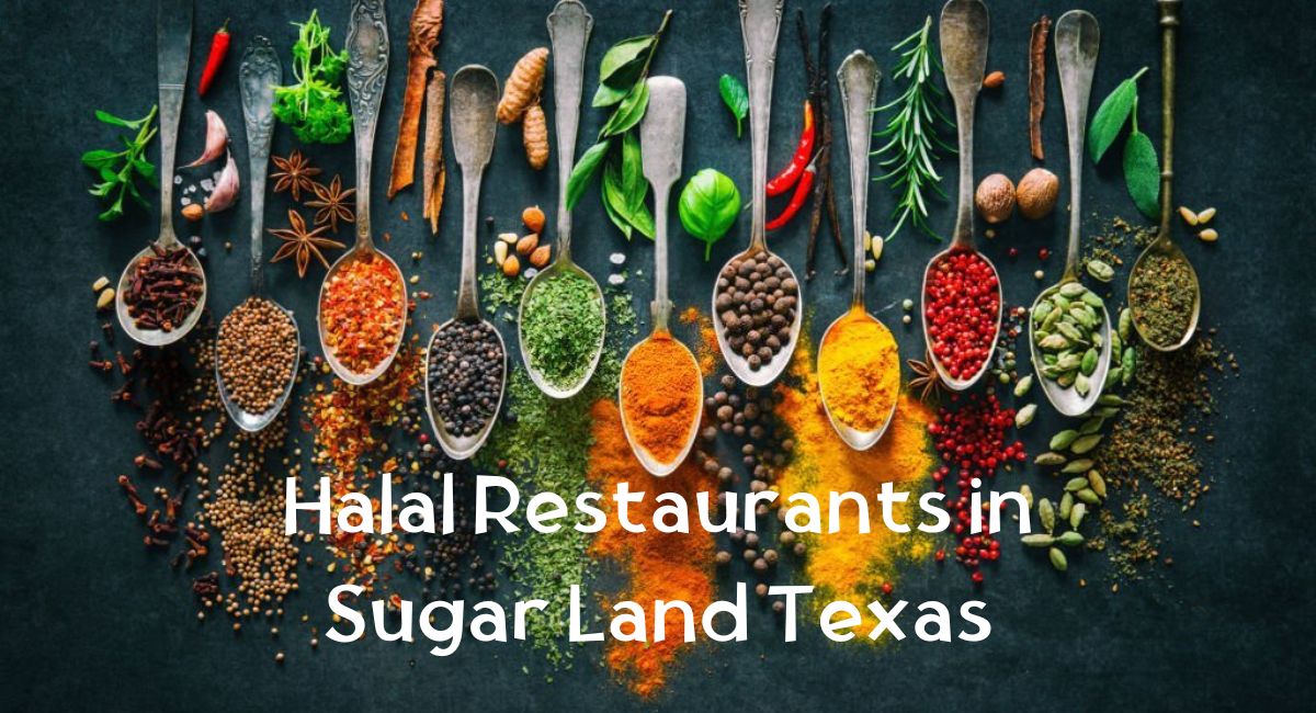 Halal Restaurants in Sugar Land Texas