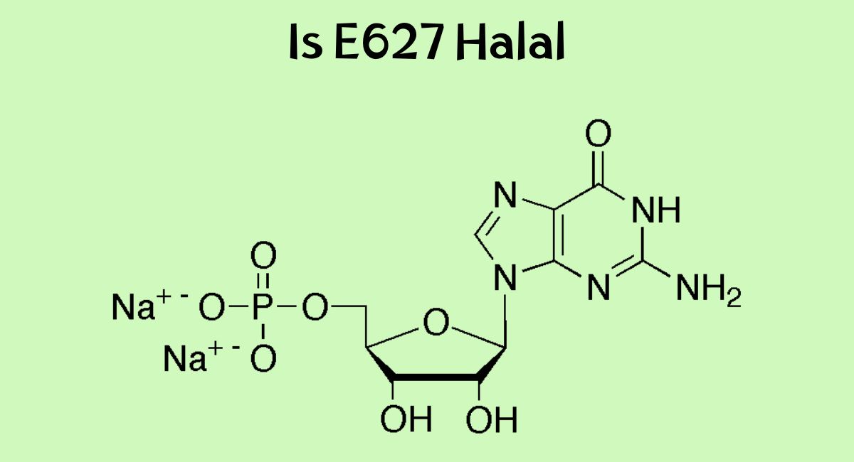 Is E627 Halal