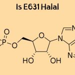 Is E631 Halal